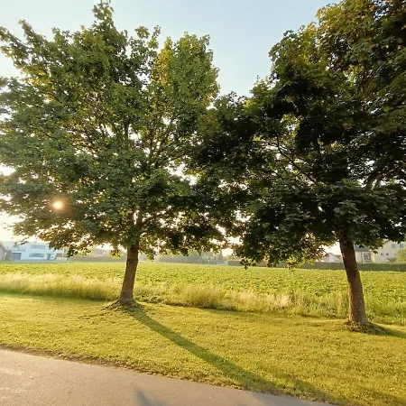 Suedsteirer 公寓 *