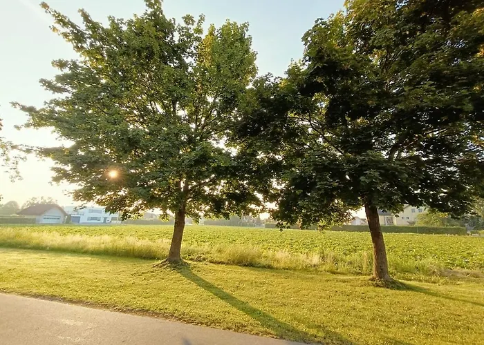 Suedsteirer Apartman *